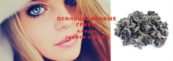 молекула духа Алексеевка