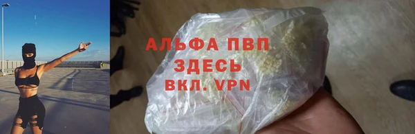 молекула духа Алексеевка