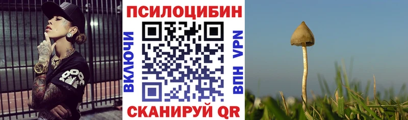 Псилоцибиновые грибы GOLDEN TEACHER Новое Девяткино